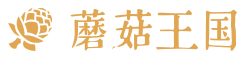 蘑菇王国冒险岛私服开服网